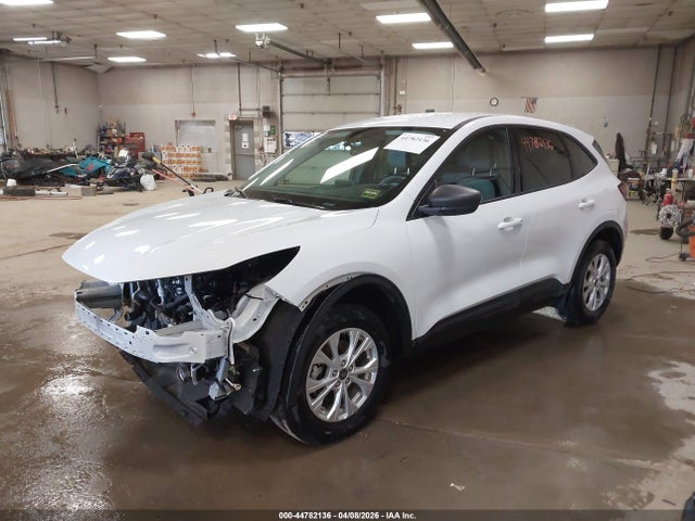 Ford Escape Active
