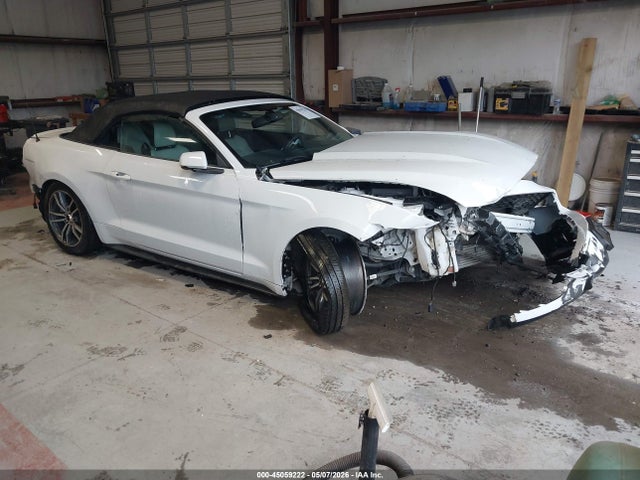Salvage Ford Mustang Image
