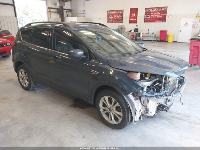 Salvage Ford Escape Image
