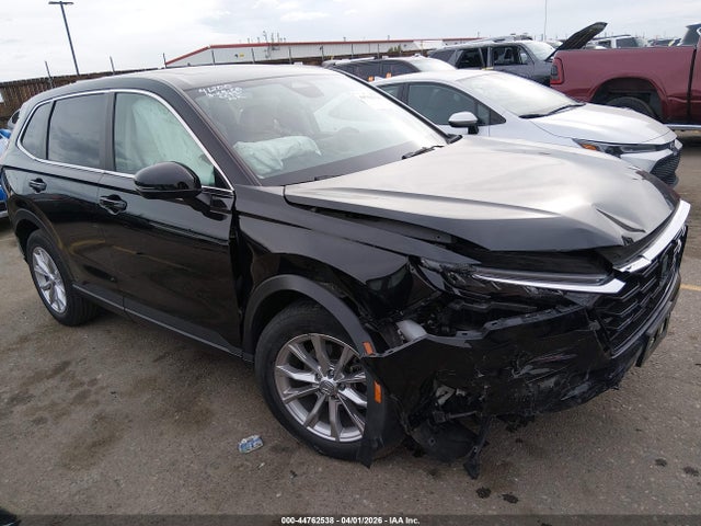 Salvage Honda CR-V Image