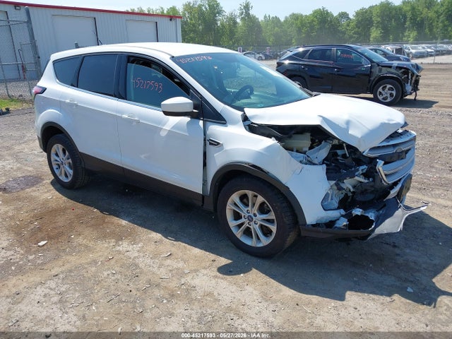 Salvage Ford Escape Image