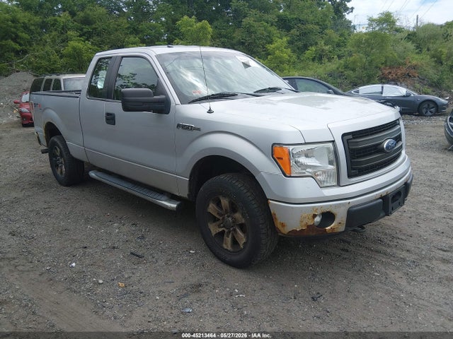 Salvage Ford F-150 Image