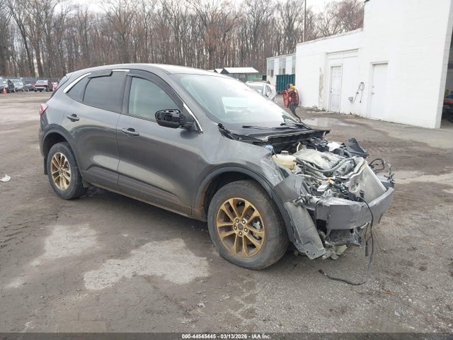 Salvage Ford Escape Image
