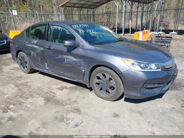 Salvage Honda Accord Image