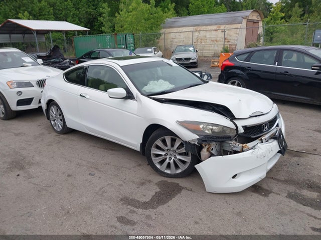 Salvage Honda Accord Image