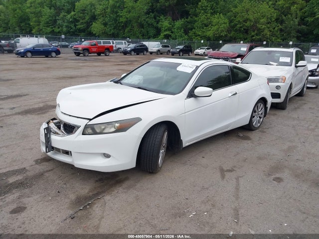 Honda Accord 3.5 Ex-l