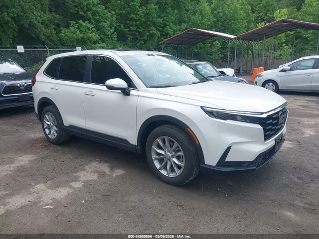 Salvage Honda CR-V Image