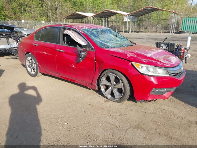 Salvage Honda Accord Image
