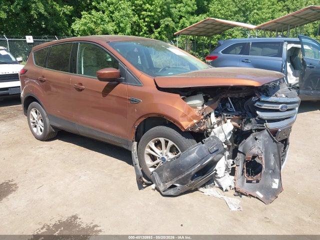 Salvage Ford Escape Image