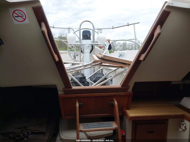 Catalina Other