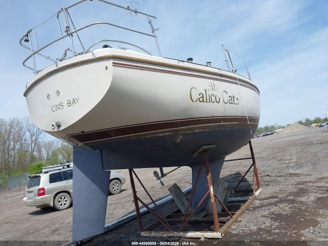 Catalina Other