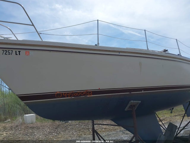 Catalina Other