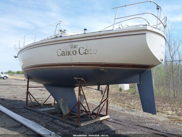 Catalina Other