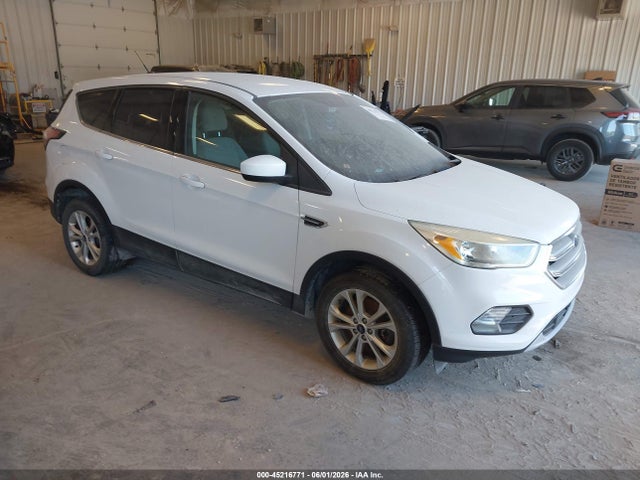 Salvage Ford Escape Image