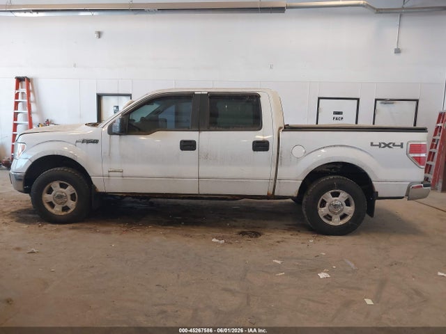 Ford F-150 Xlt