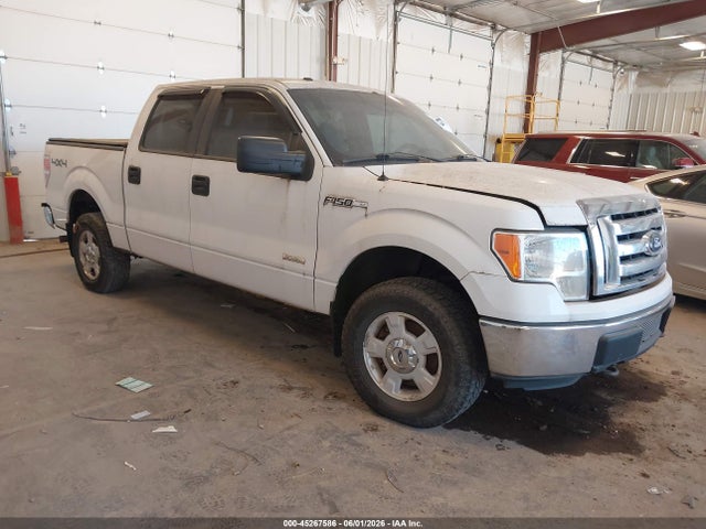 Salvage Ford F-150 Image