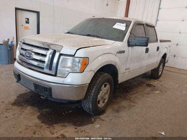 Ford F-150 Xlt