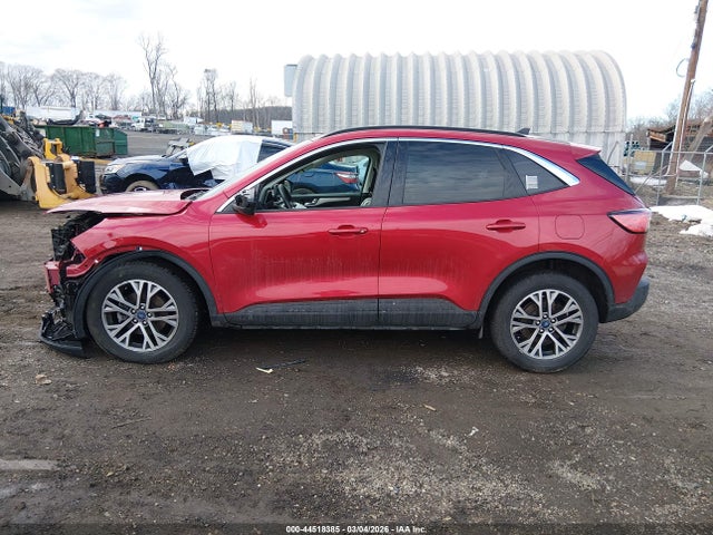 Ford Escape Sel