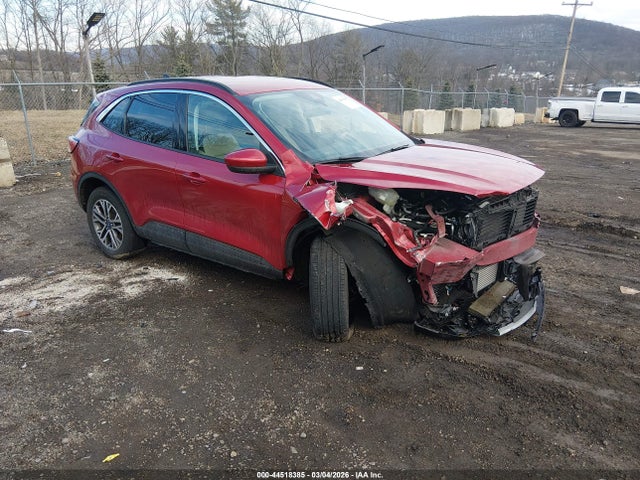 Salvage Ford Escape Image