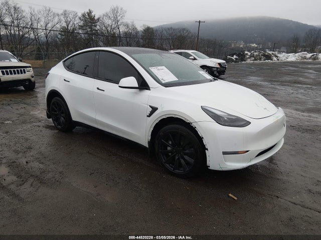 Salvage Tesla Model Y Image