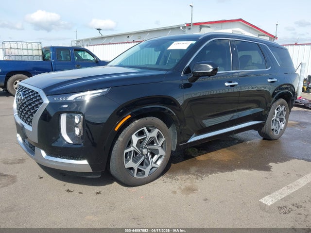 Hyundai PALISADE Calligraphy