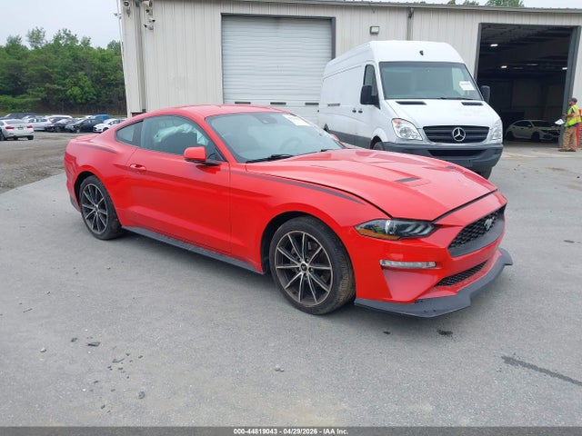 Salvage Ford Mustang Image
