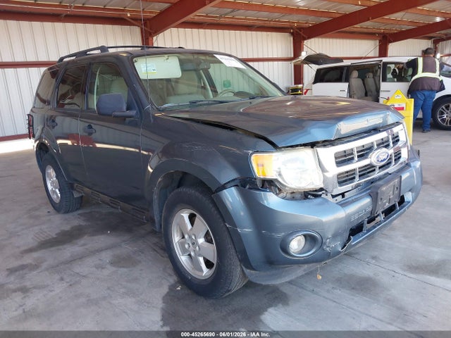 Salvage Ford Escape Image