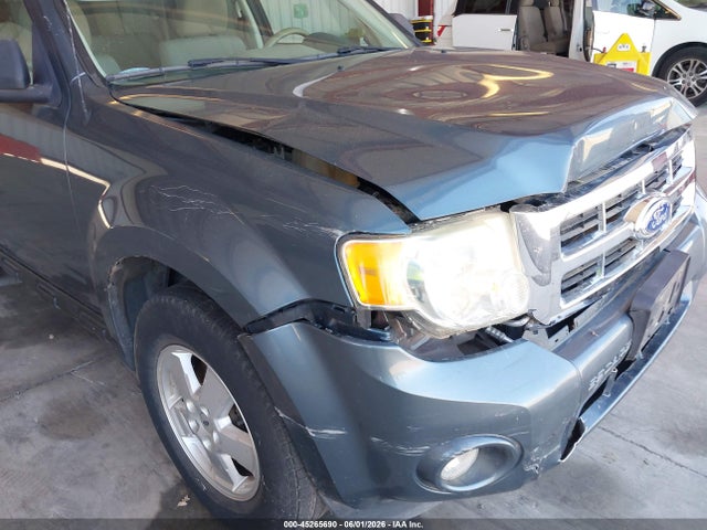Ford Escape Xlt