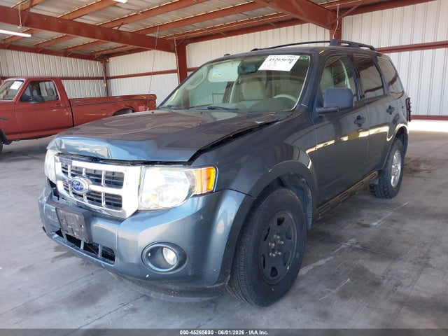 Ford Escape Xlt