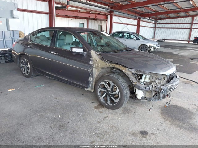 Salvage Honda Accord Image