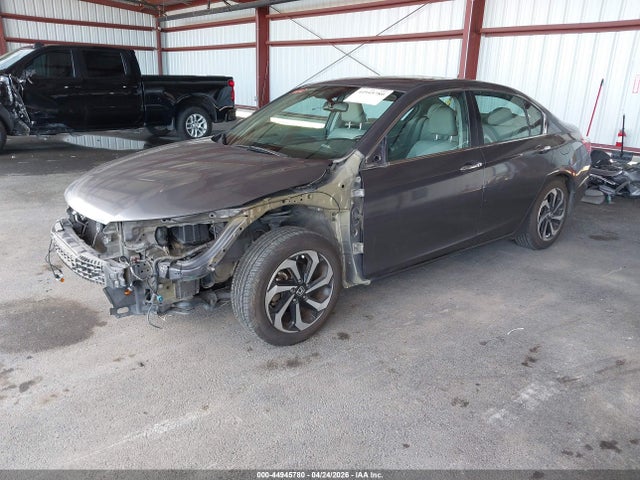 Honda Accord Ex-l