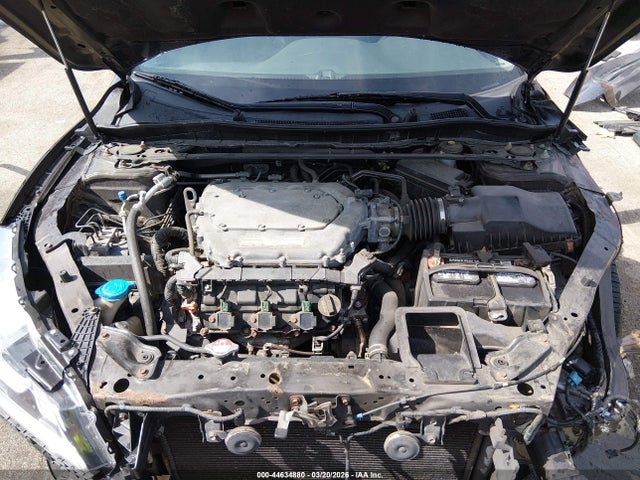 Honda Accord Ex-l V-6