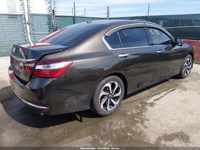 Honda Accord Ex-l V-6