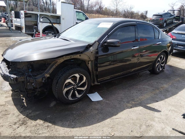 Honda Accord Ex-l V-6