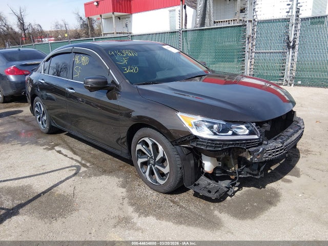 Salvage Honda Accord Image