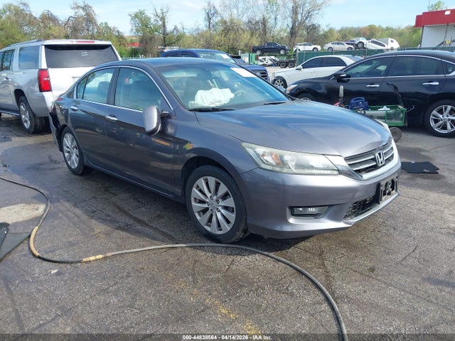Salvage Honda Accord Image