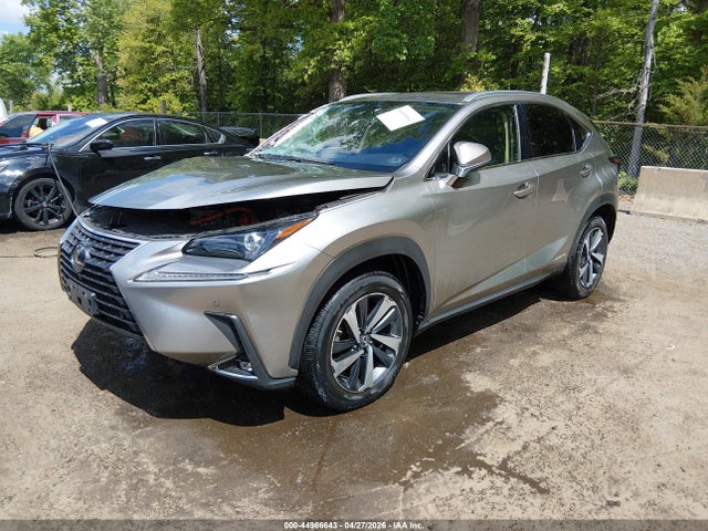 Lexus NX