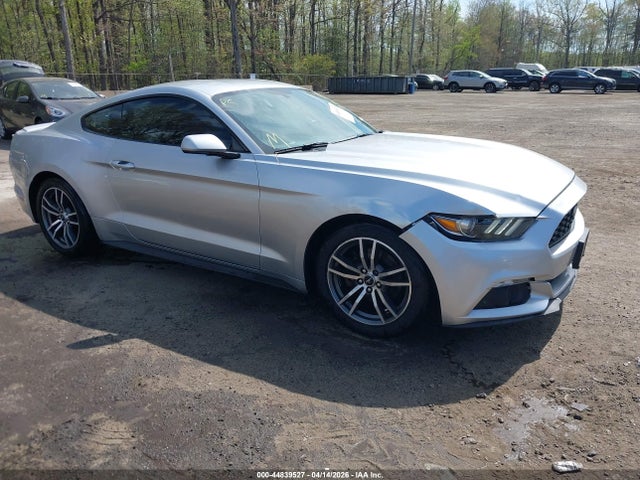 Salvage Ford Mustang Image
