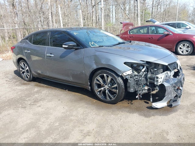 Salvage Nissan Maxima Image