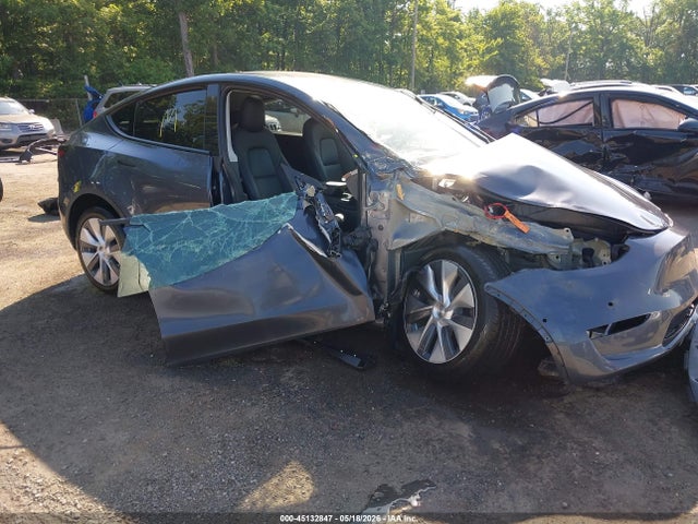 Salvage Tesla Model Y Image