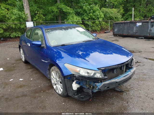 Salvage Honda Accord Image