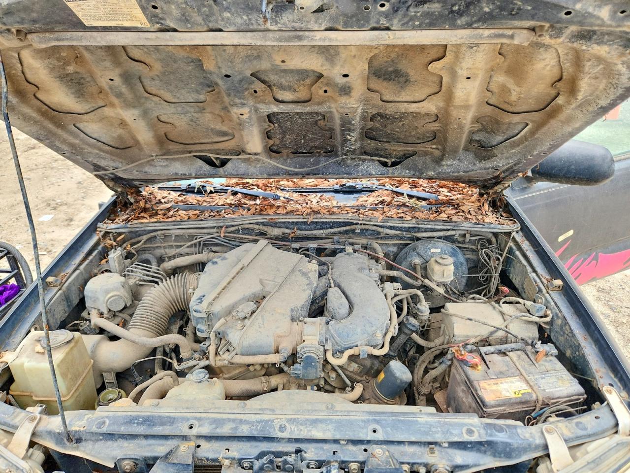 Toyota Tacoma Double Cab Prerunner