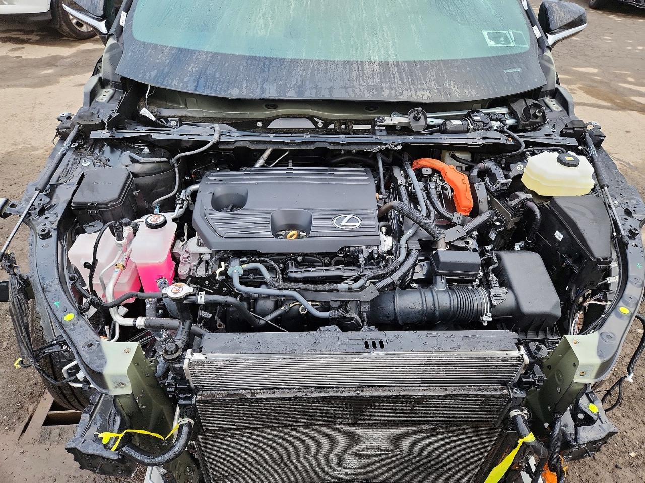 Lexus Other Premium