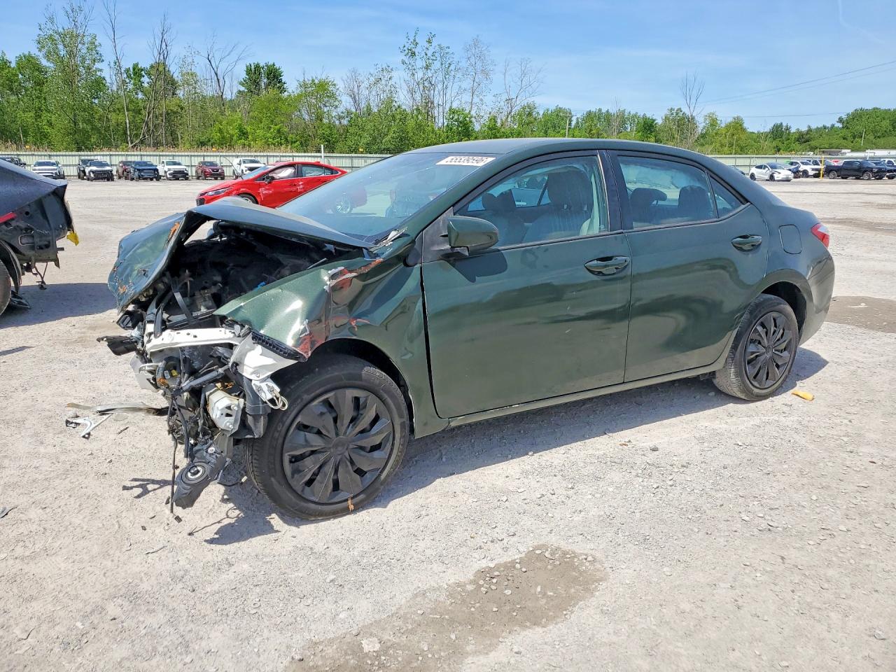 Salvage Toyota Corolla Image