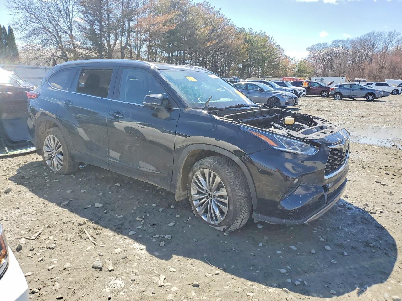 Toyota Highlander Platinum