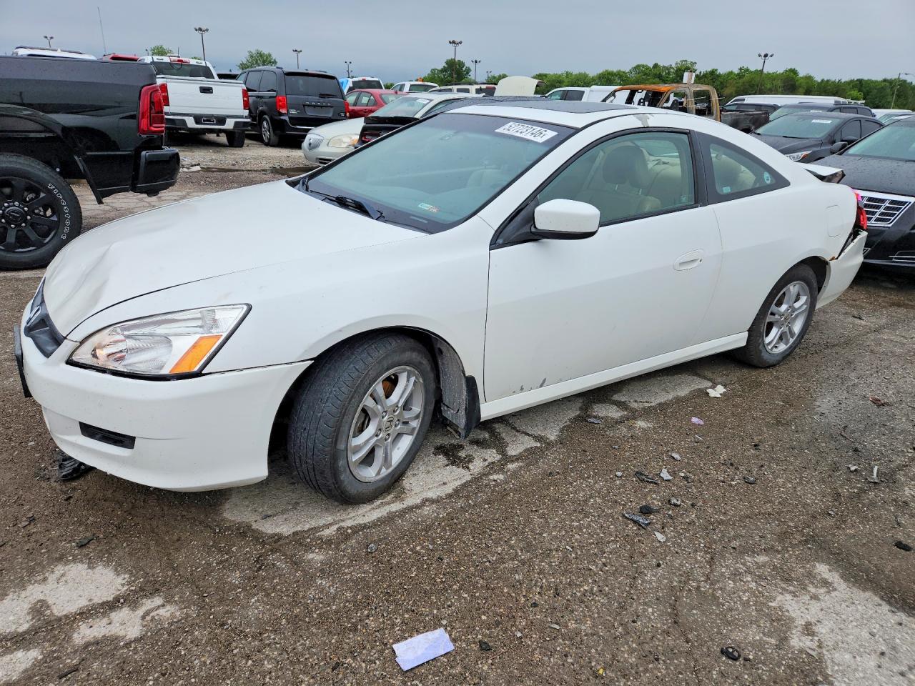 Salvage Honda Accord Image