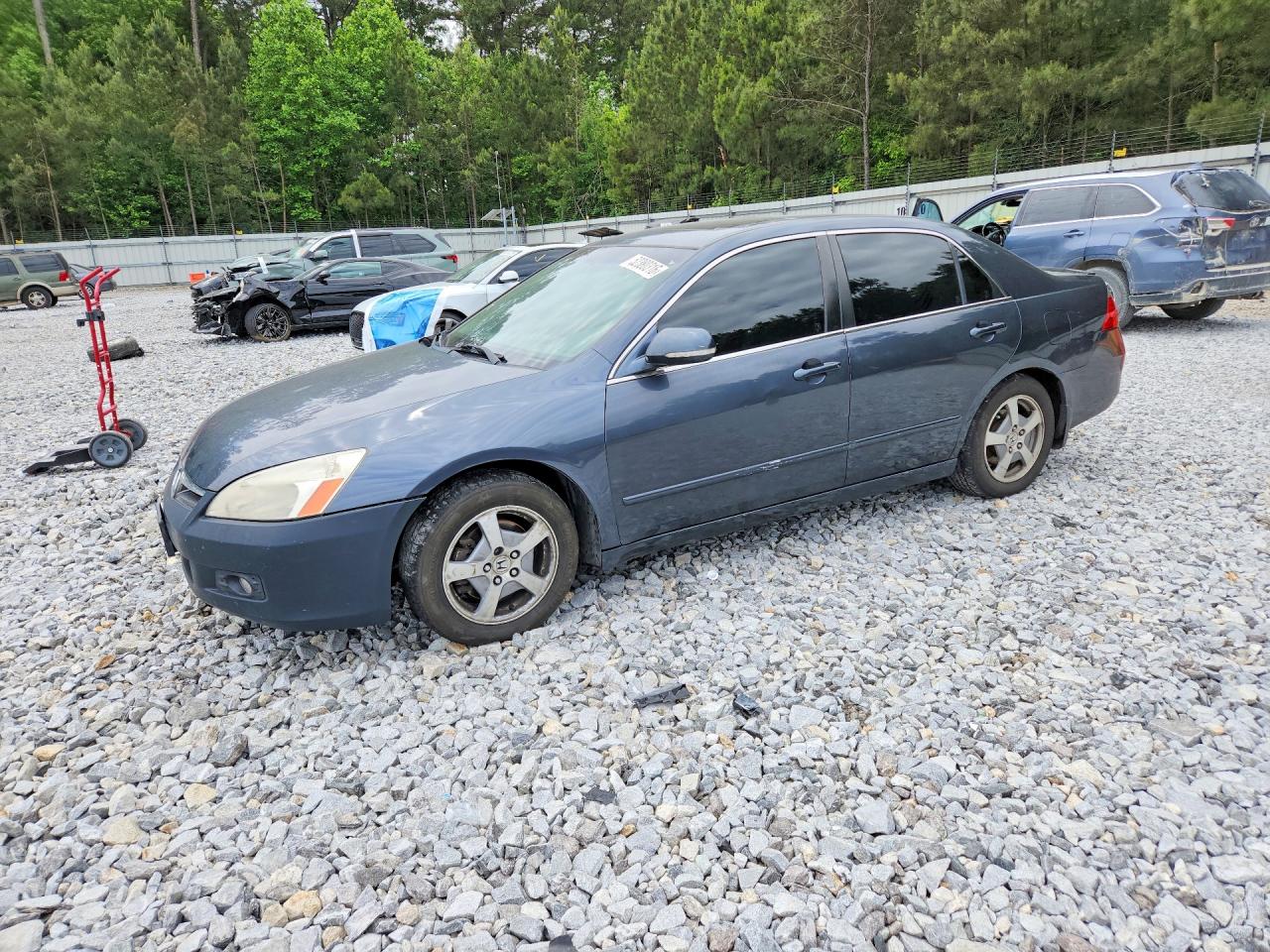 Salvage Honda Accord Image