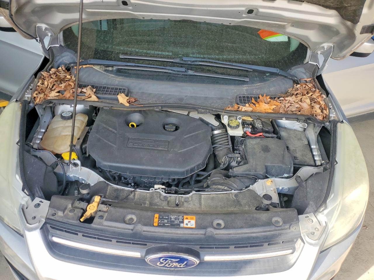 Ford Escape Se
