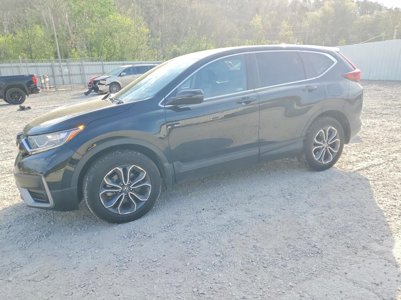 Salvage Honda Crv Image