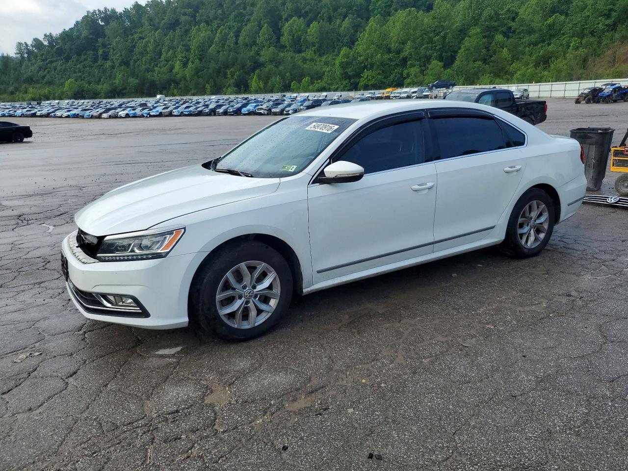 Salvage Volkswagen Passat Image